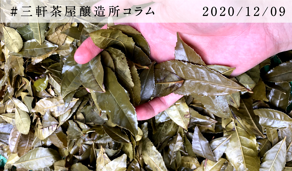 乳酸発酵で生まれる茶葉「黒茶」と酒造技術への応用