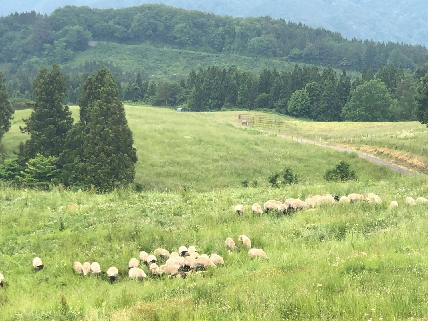 2021.10 ～収穫 米と葡萄～ 食材 生産者様